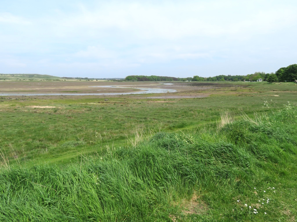 Aberlady Bay Local Nature Reserve