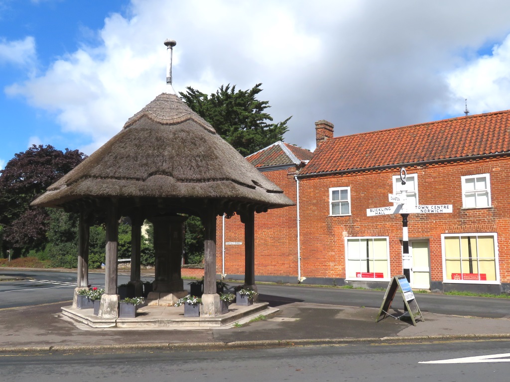 Aylsham - Thatched Well