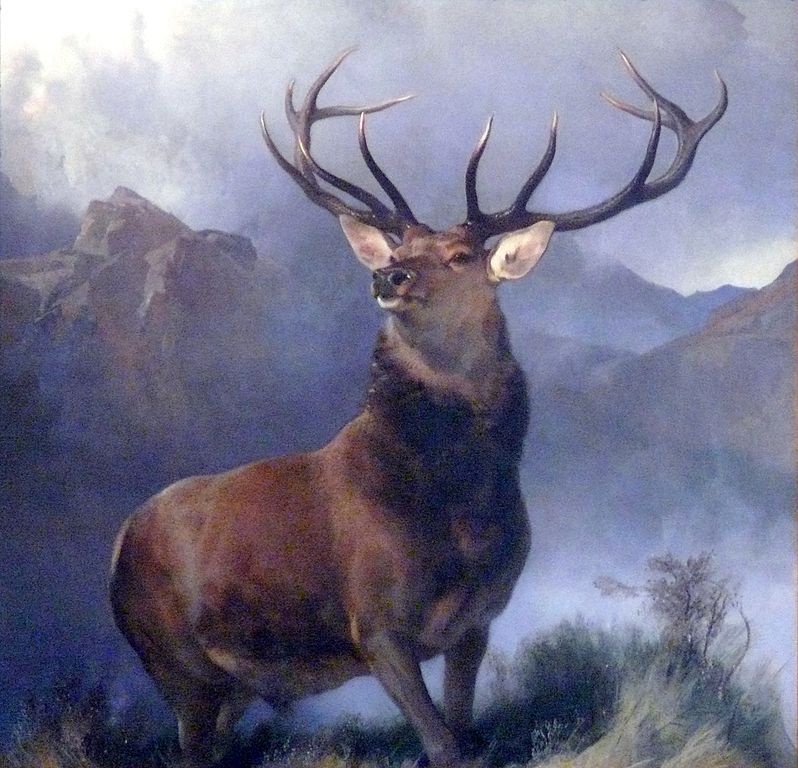 sir Edwin Landseer, The Monarch of the Glen (1851) in the Museum of Scotland