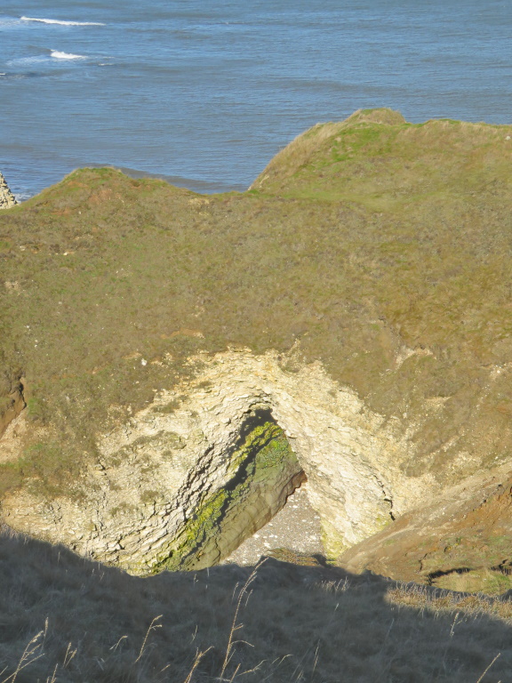 Flamborough Head - Cliffs