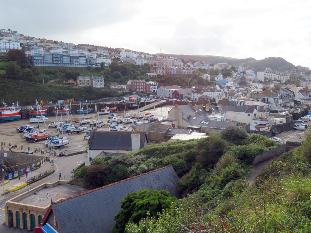 Ilfracombe Harbour