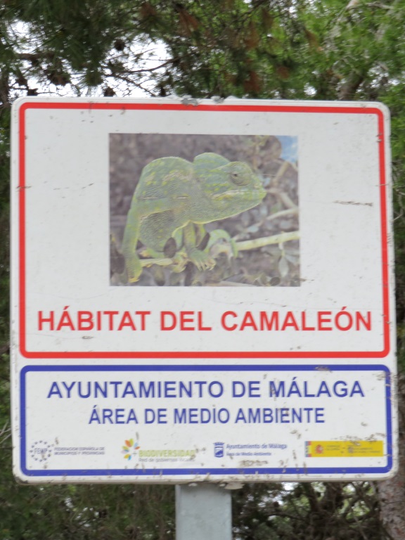 Málaga - Camino Gibralfaro