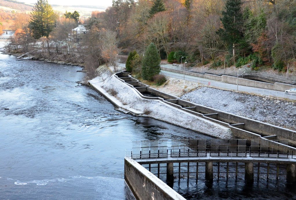 Fish ladder at Pitlochry