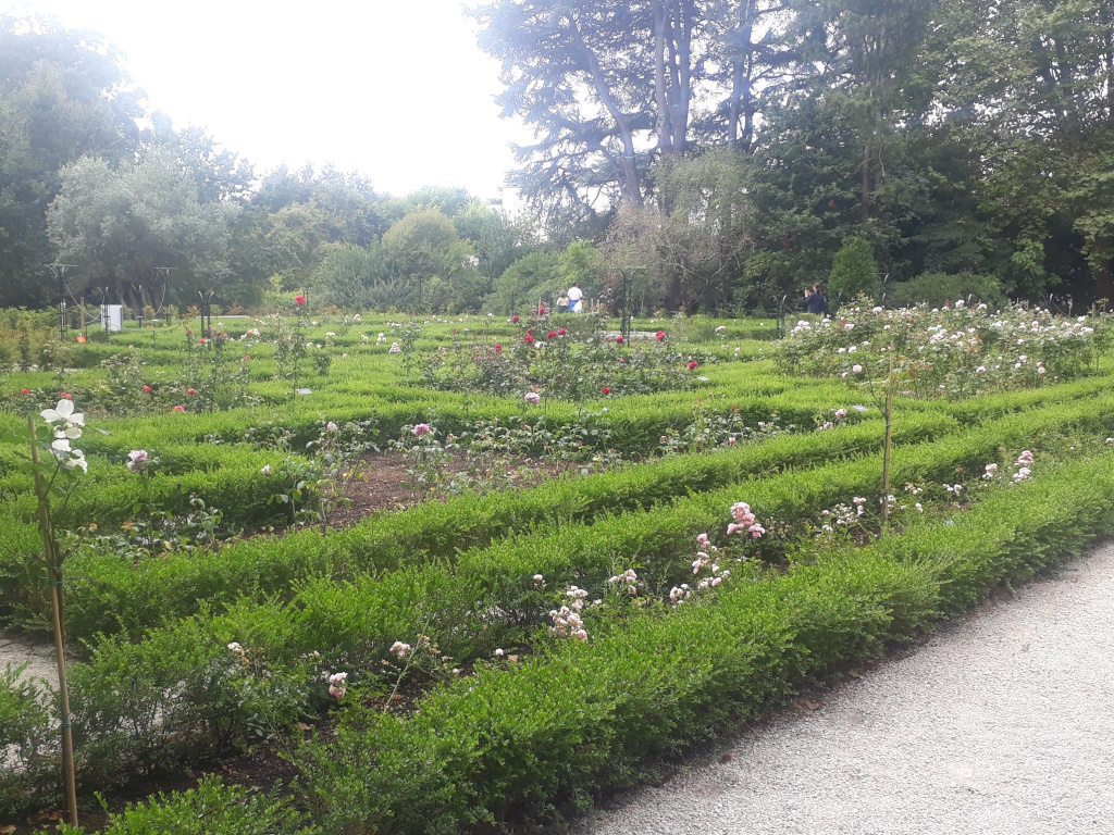 Near Porto - Parque e Jardim da Fundação Serralves