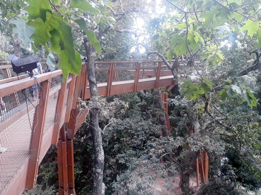 Near Porto - Parque e Jardim da Fundação Serralves - Treetop Walk