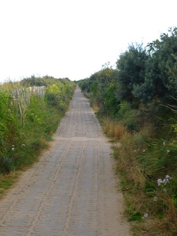 Skegness - Beach Path