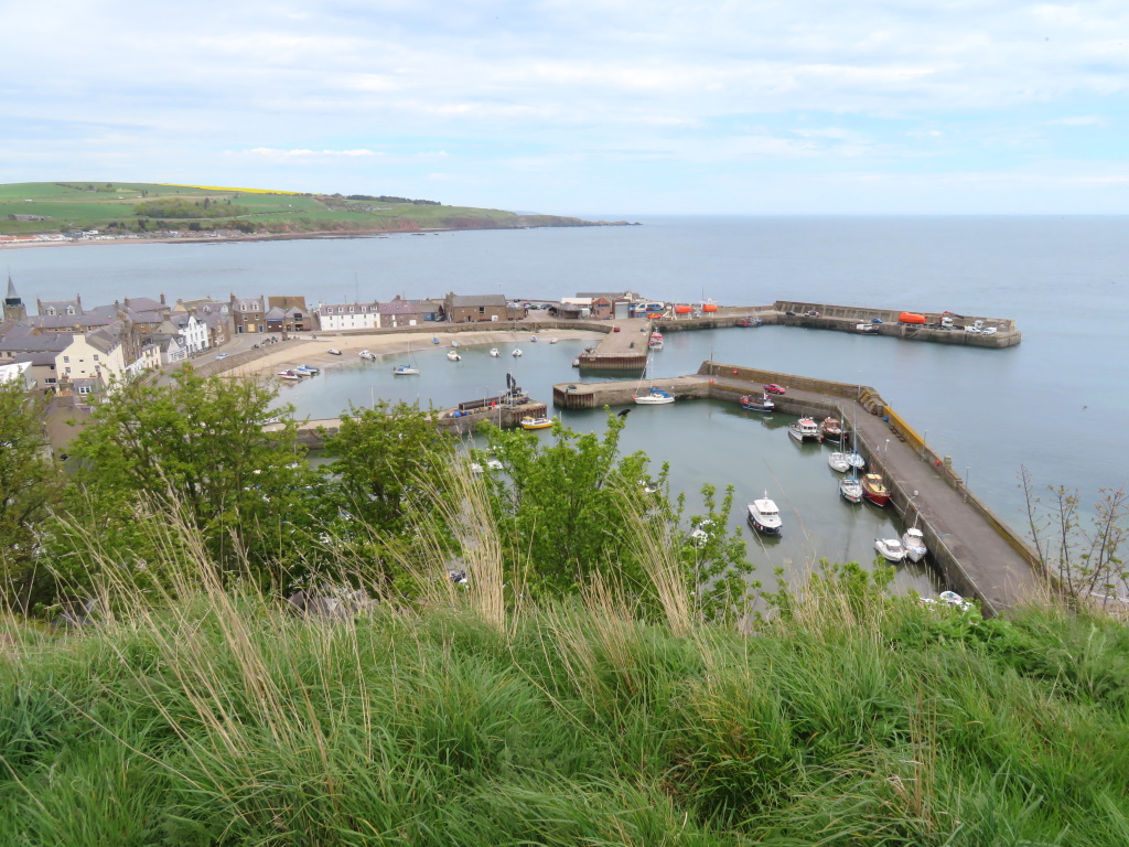 Stonehaven - Above the Harbour