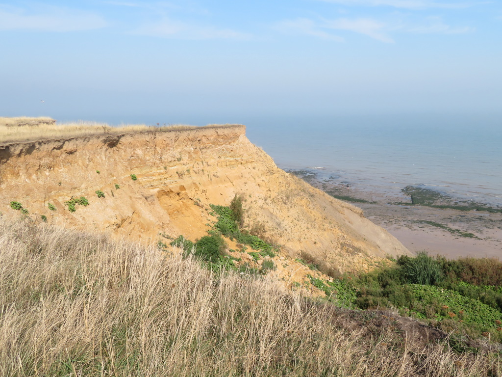 Walton-on-the-Naze - Fossil Cliffs