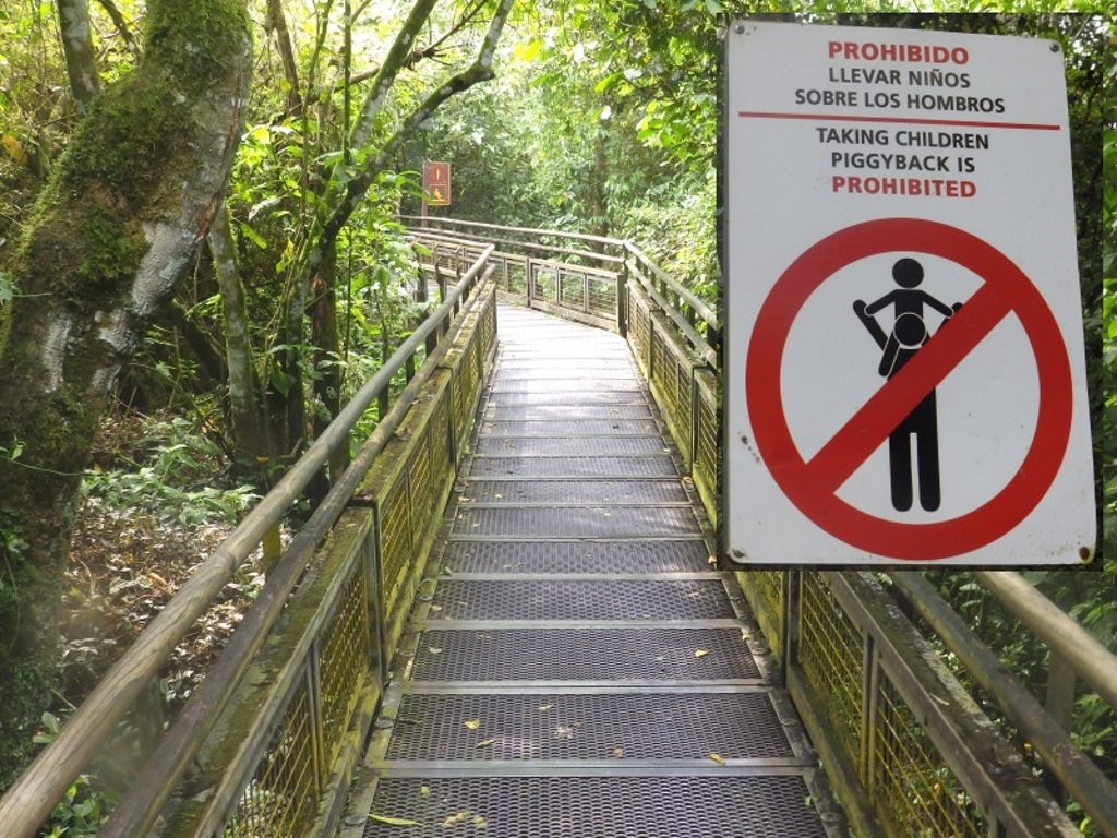 Iguazú Falls - Wooden Walkways