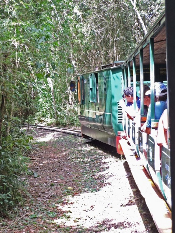 Iguazú Falls - Rainforest Train