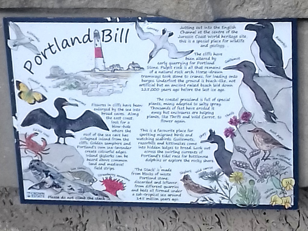Isle of Portland - Portland Bill