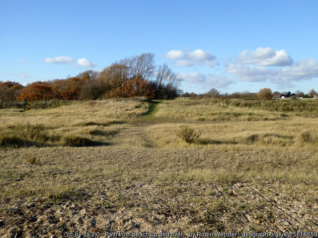 Path from beach up and over seawall, East Mersea