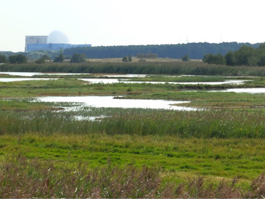 Minsmere - Marsh and Reed Beds