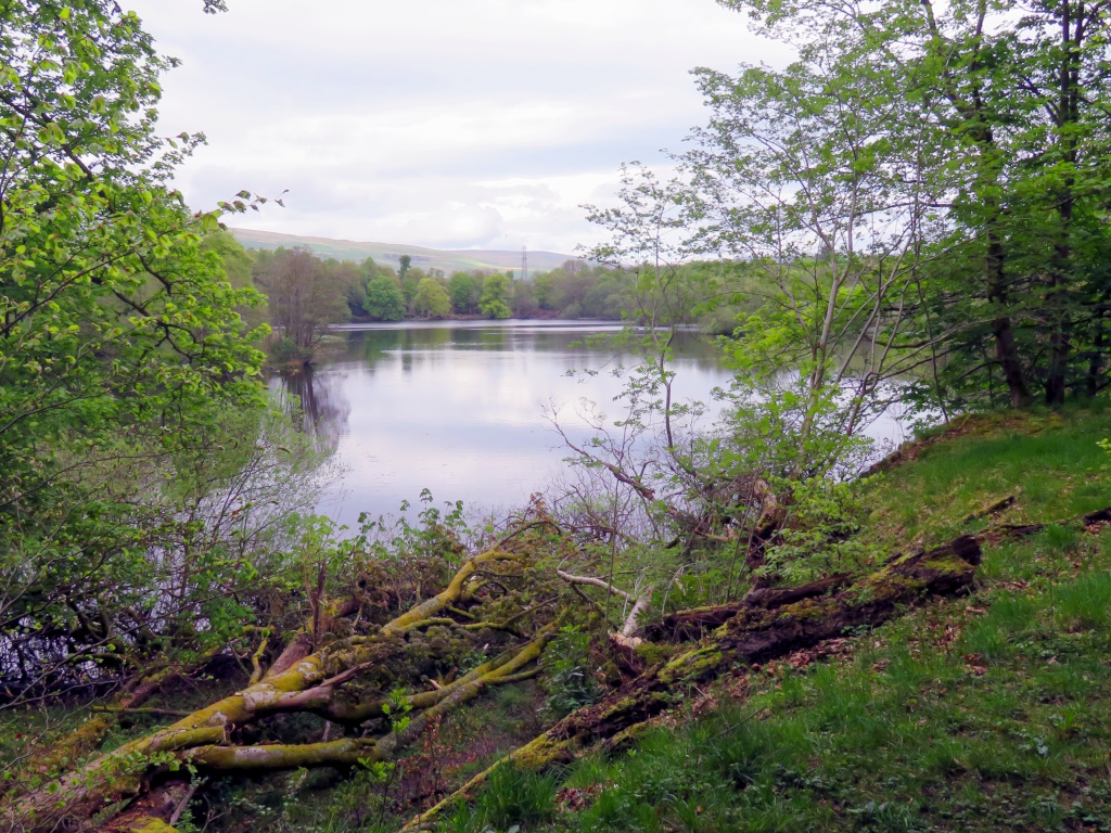 Mugdock Country Park - Mugdock Loch