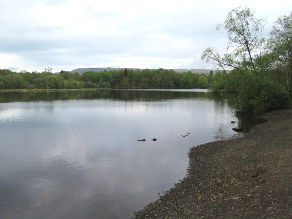 Mugdock Country Park - Mugdock Loch