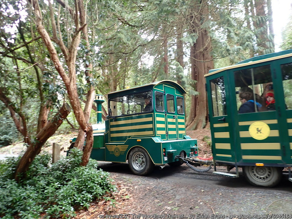 The Woodland Train at Portmeirion