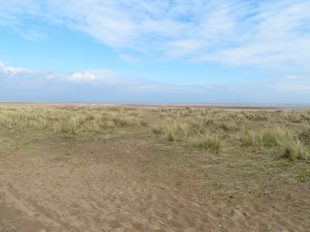 Tentsmuir Beach