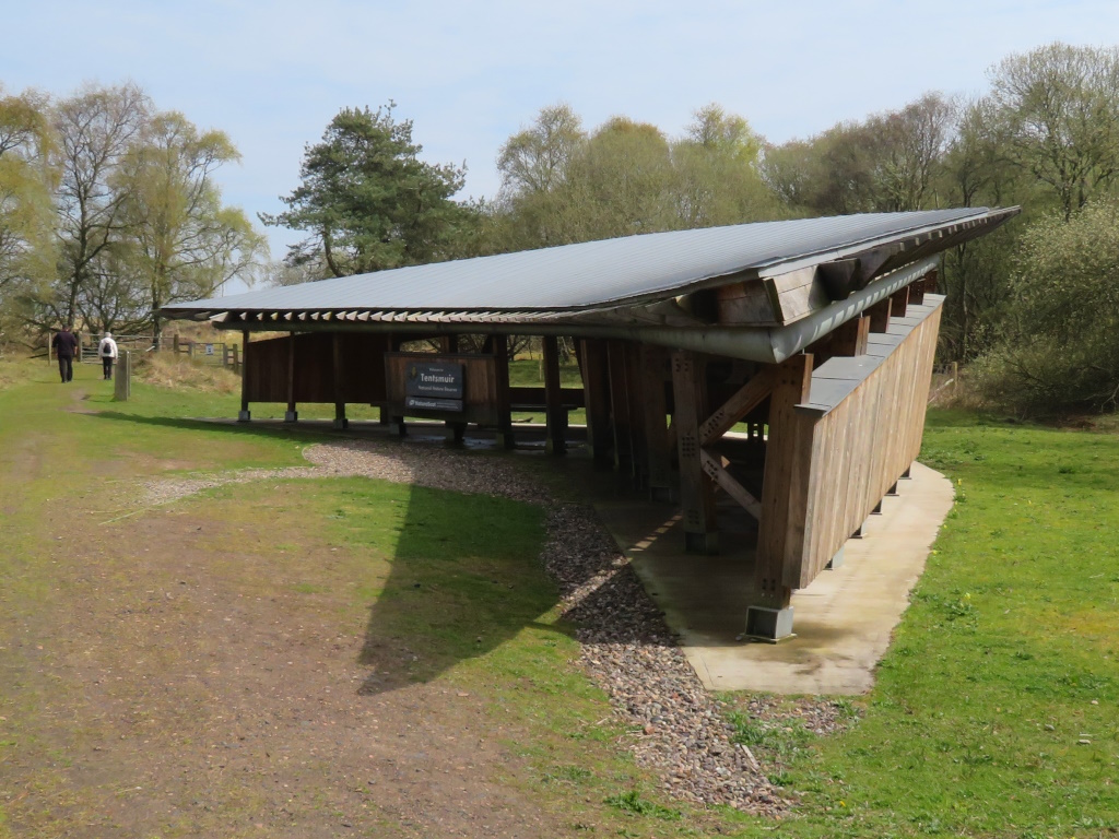 Tentsmuir Forest - Highly Informative