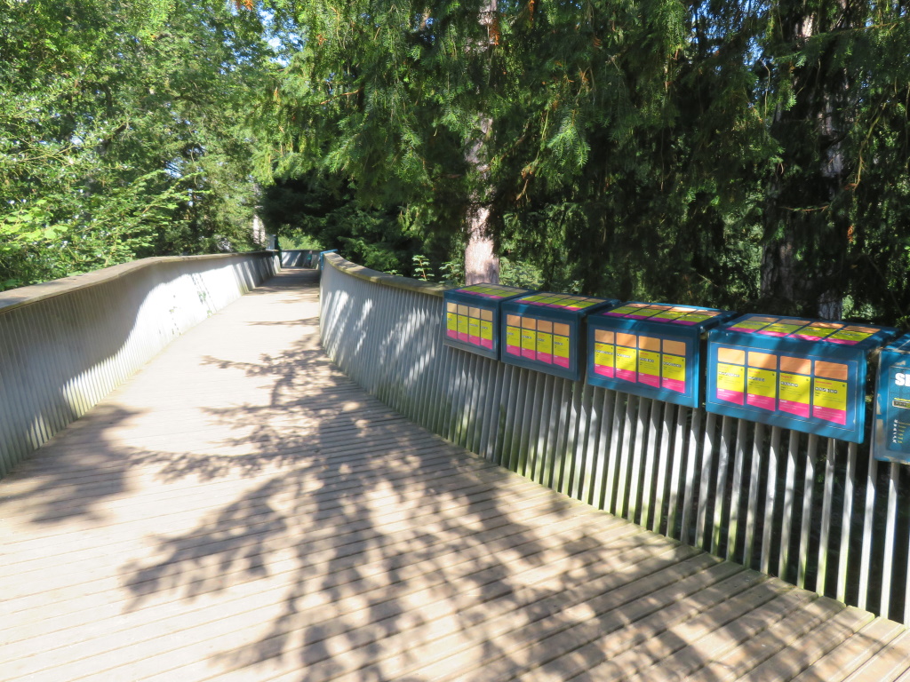 Westonbirt Arboretum - Treetop Walkway