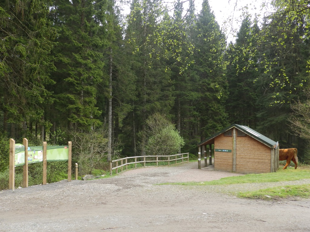 Achray Forest - Visitor 'Centre'