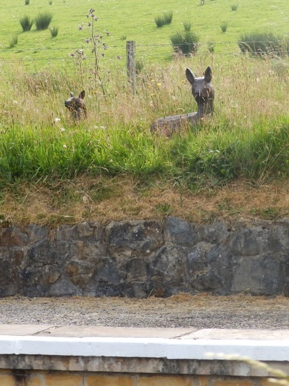 Near Alston - Sculpted Deer at Kirkhaugh Station
