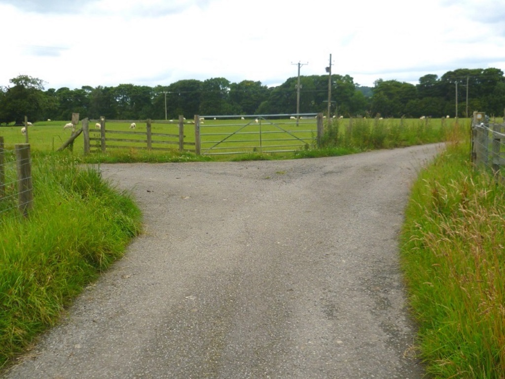 Pecknell Wood - Farm Track