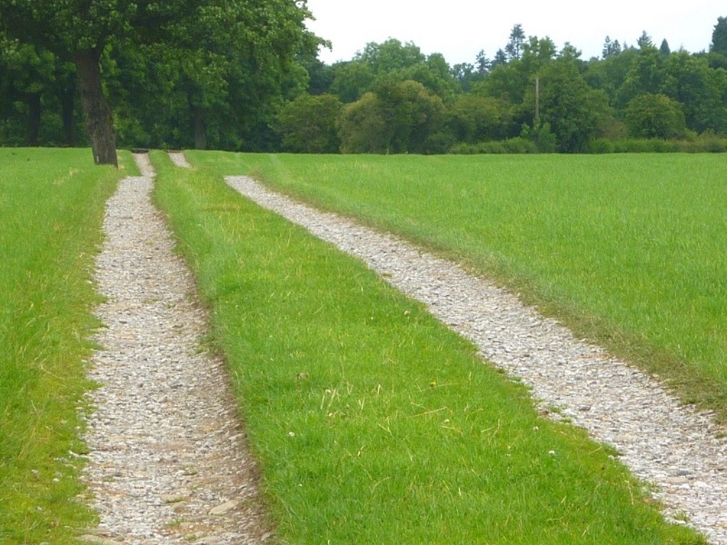 Near Cotherstone - Farm Track