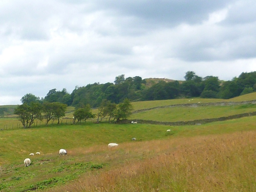 Near Cotherstone Crag