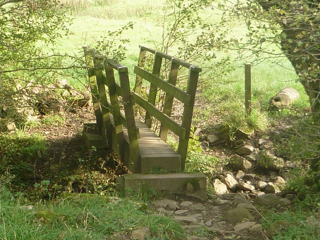 Near Downham - Small Footbridge
