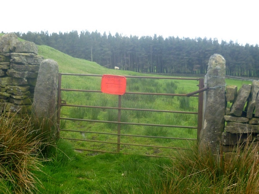 Near Wolsingham - Warning Gate