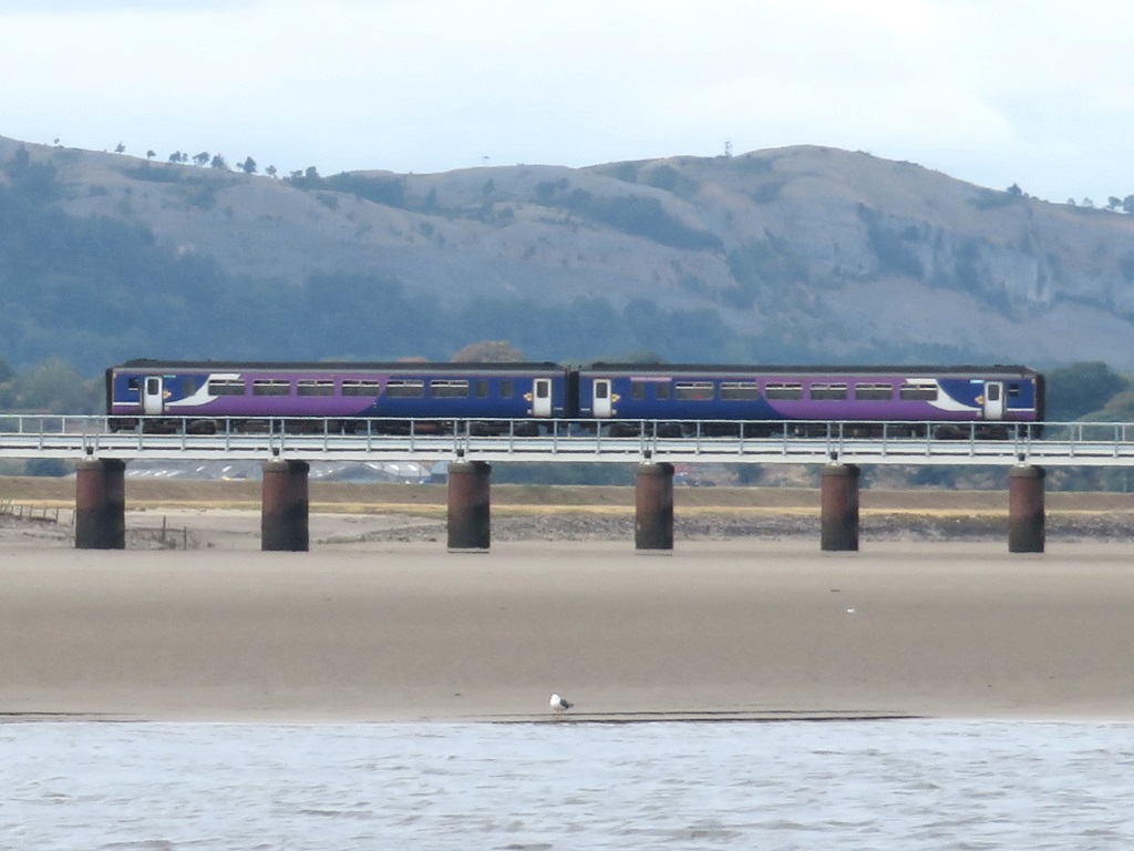 Arnside Viaduct - Class 153 Super Sprinter