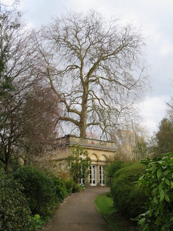 Bath - Temple of Minerva