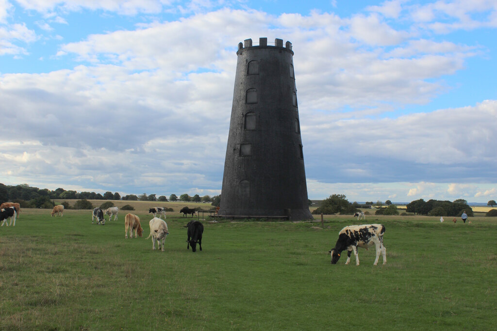 The Black Mill on Westwood, Beverley