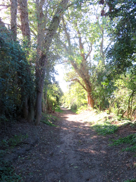 Blythburgh - To the Railway Station