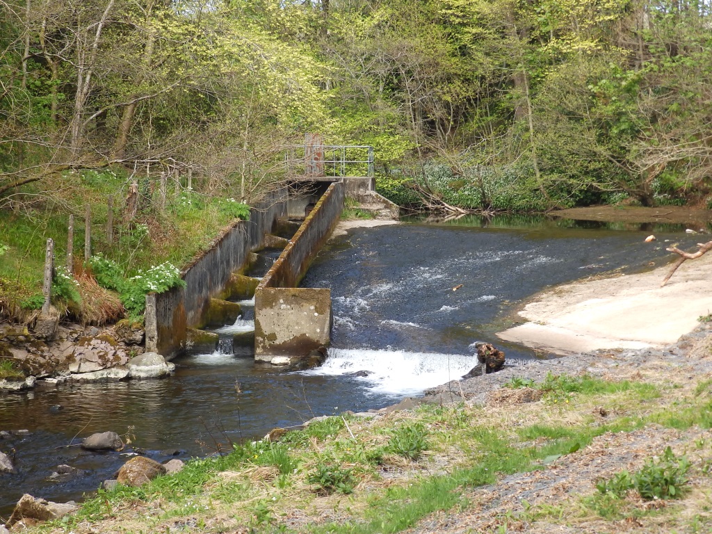 Crieff - Weir in Taylor Park