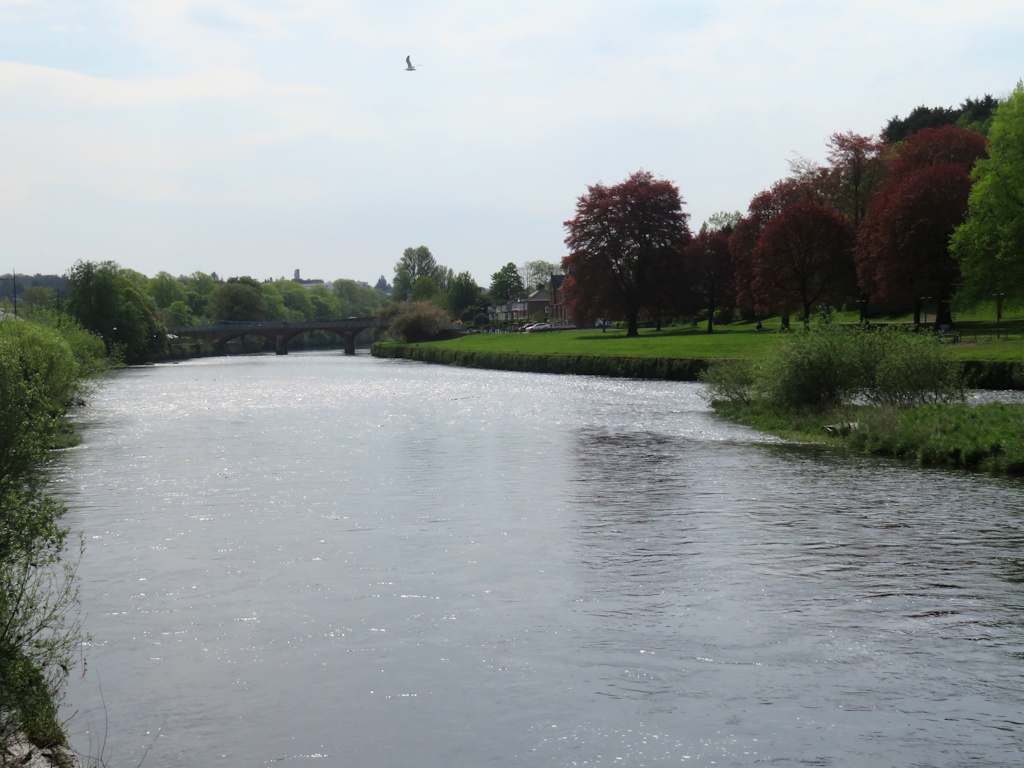 Dumfries - River Nith