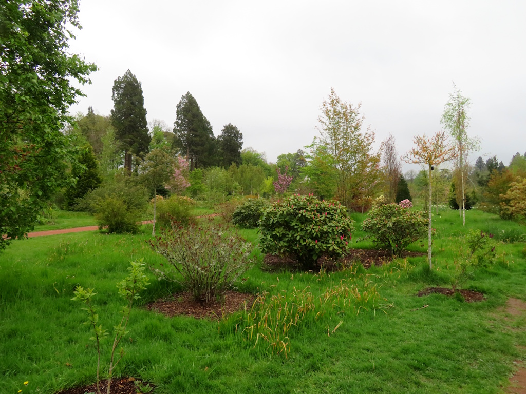 Dumfries House - The Arboretum