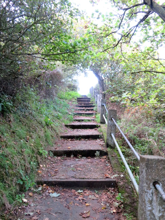 Near Overstrand - Some Steep Steps Up
