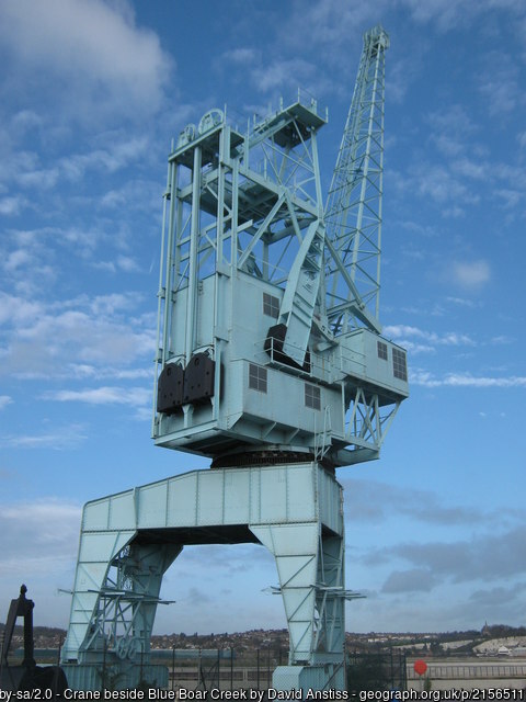 Crane beside Blue Boar Creek
