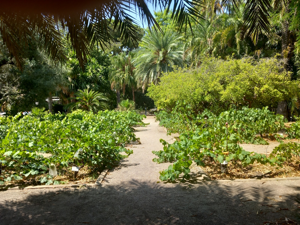 Valencia - Jardín Botánico