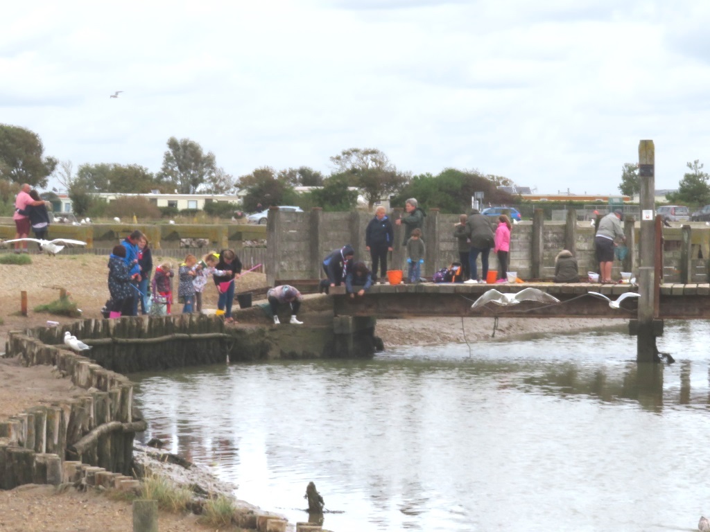 Walberswick - Crabbing on Wally's Bridge