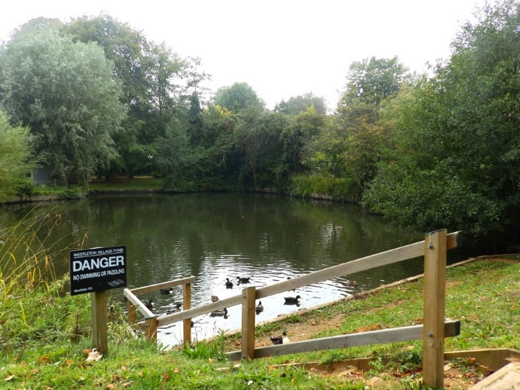 Westleton - Village Pond