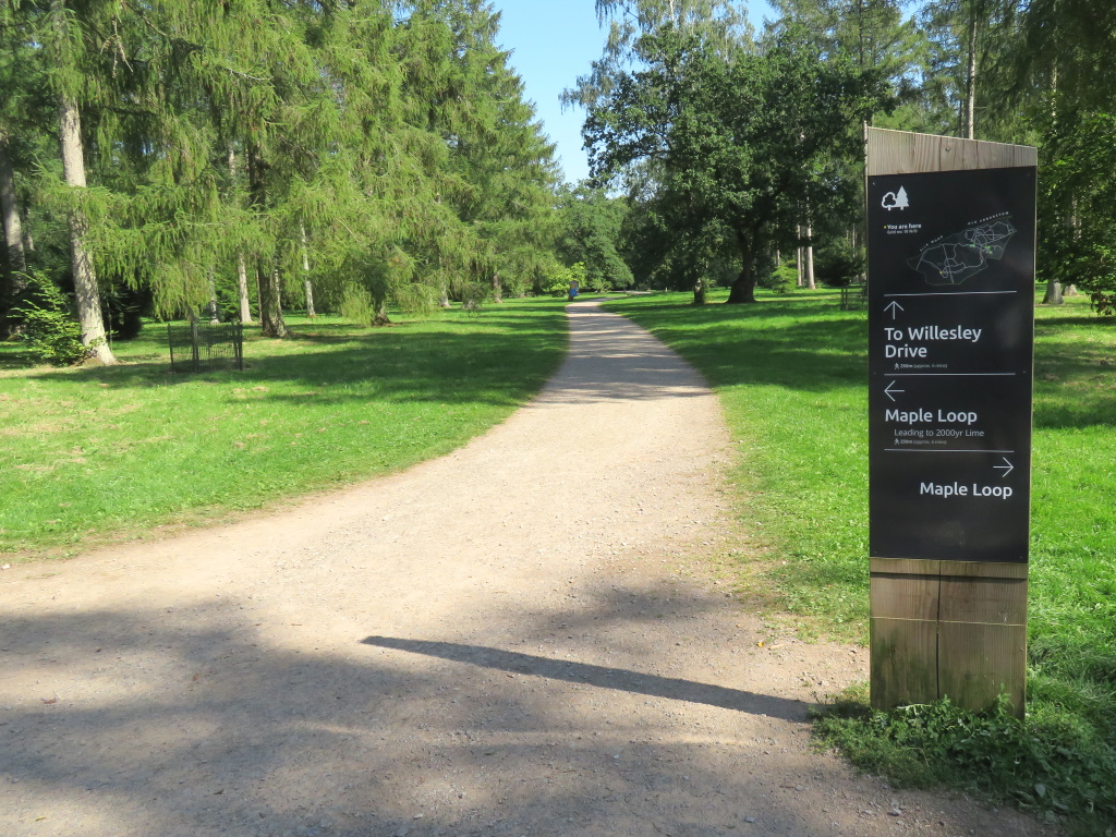 Westonbirt Arboretum - Near Broad Drive