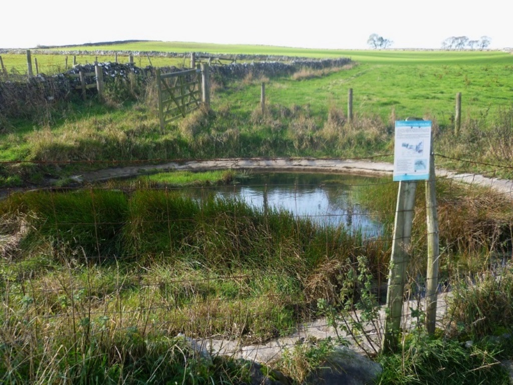 Near Ashford in the Water - Concrete Dew-pond