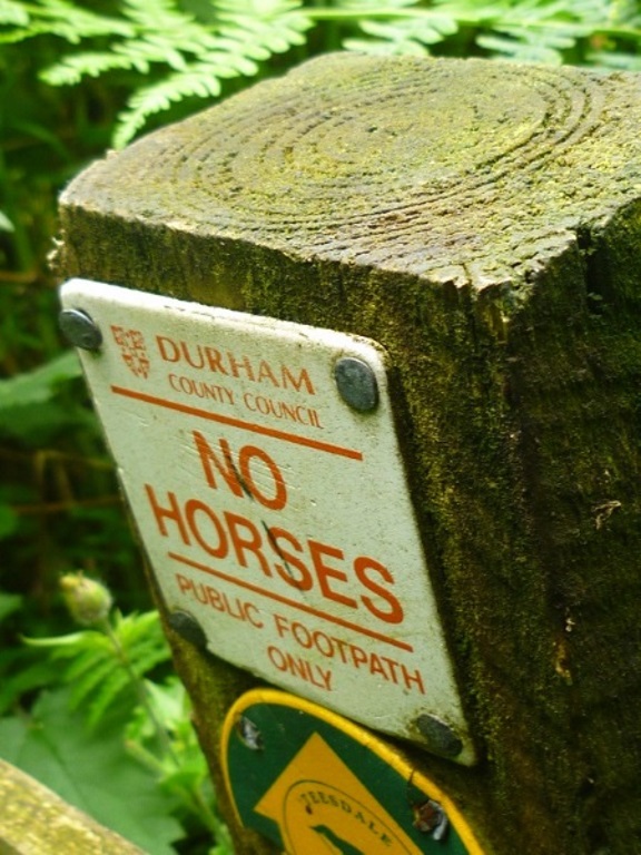 Pecknell Wood - No Horses