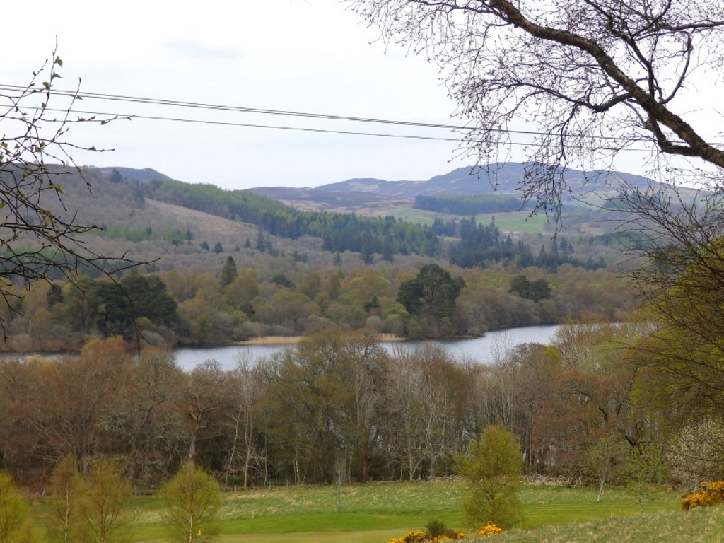 Near Loch of the Lowes - To Dunkeld