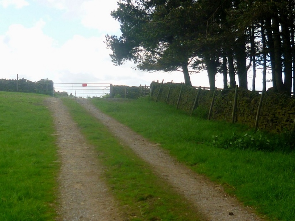 Near Wolsingham - Track